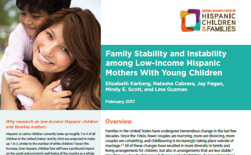 Cover of Family Stability PDF
