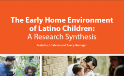 Cover of The Early Home Environment PDF