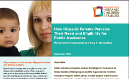 Cover of Public Assistance PDF