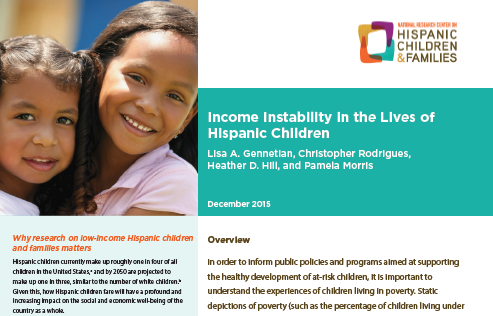 Cover of Income Instability PDF