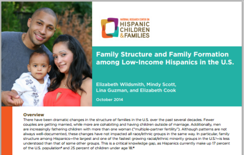 Cover of Family Structure Brief